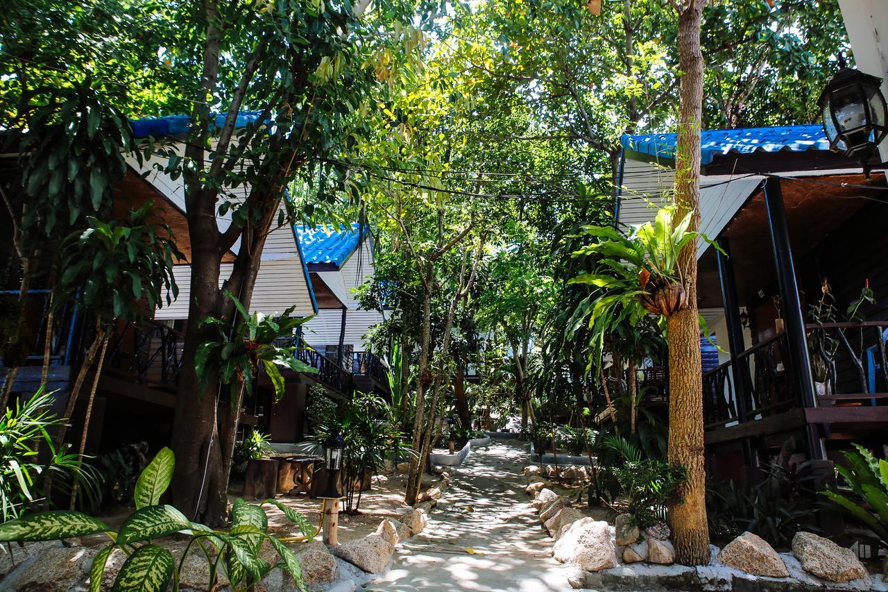 Black Wood Vandrarhem Koh Tao Exteriör bild