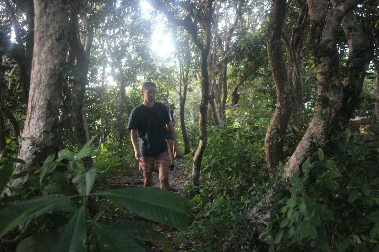 Black Wood Vandrarhem Koh Tao Exteriör bild